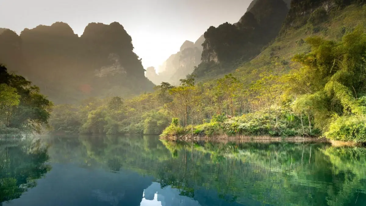 高端智能化数字化
